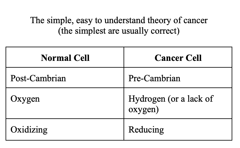 Simple Theory of Cancer
